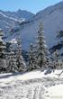 galerie photo
